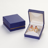 #33HE  Hoop Earring Box